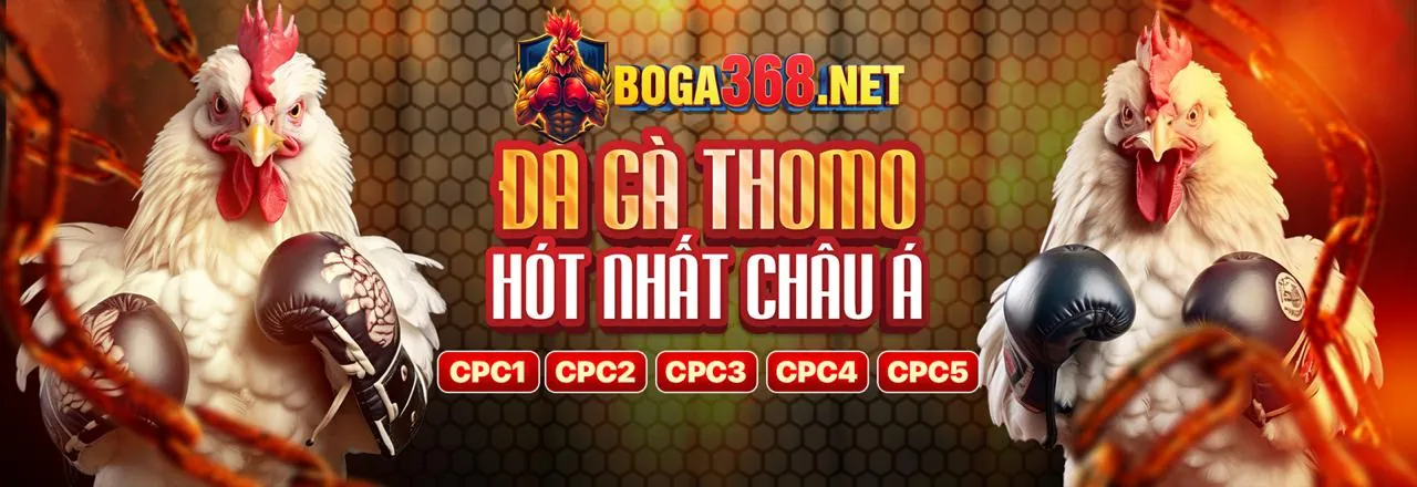 Tuân thủ KYC/AML