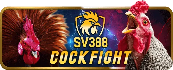 Cấp độ VIP Bạch Kim của Kubet11
